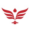 整点视频播放器